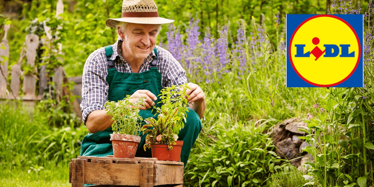 Met deze betaalbare tuinheld van Lidl maak je in een oogwenk je tuin klaar – je zult versteld staan van de prijs!